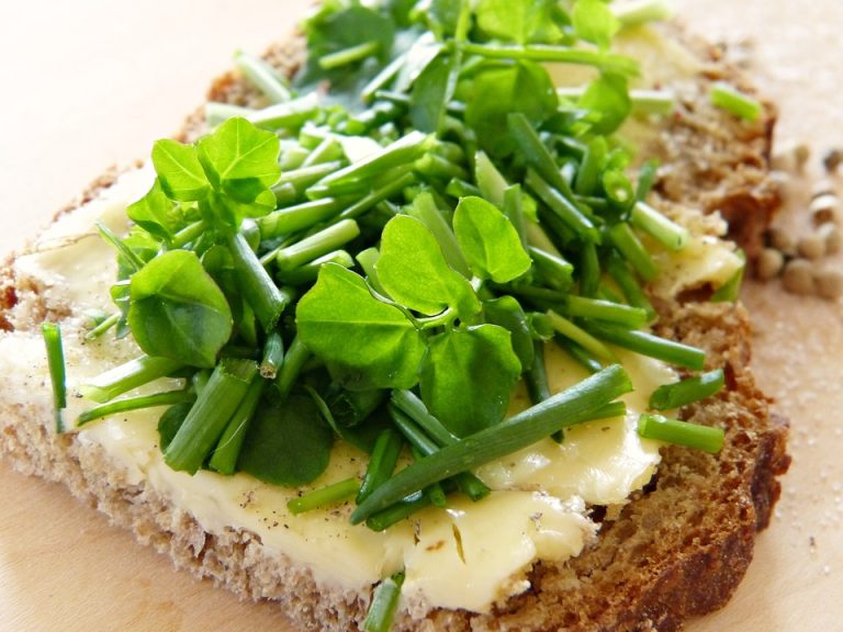 Celebrating National Homemade Bread Day