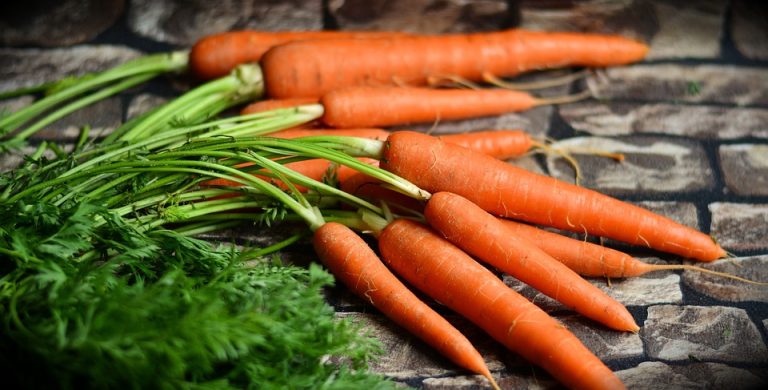  vegetable soup