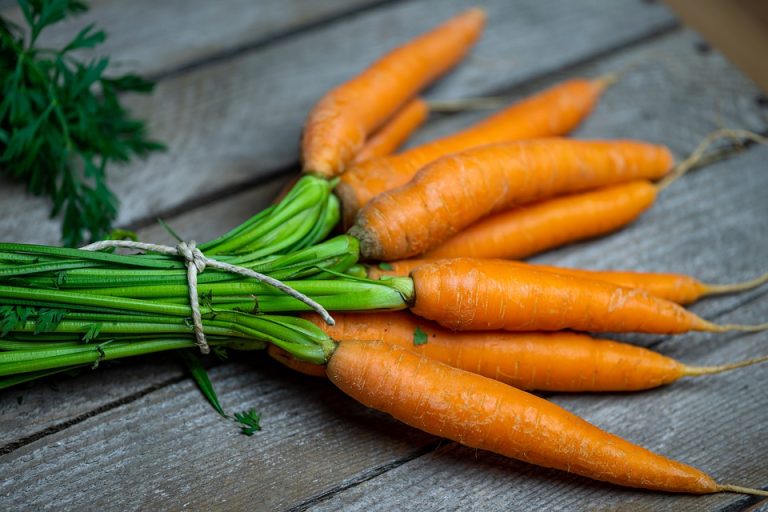 From Garden to Bowl: Creating the Perfect Vegetable Soup