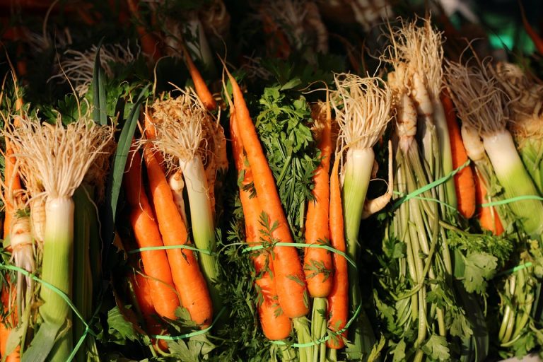  vegetable soup