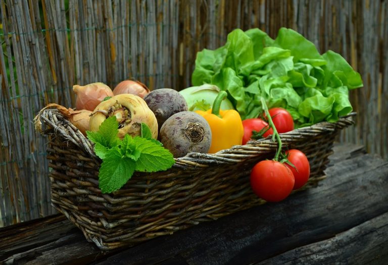  vegetable soup